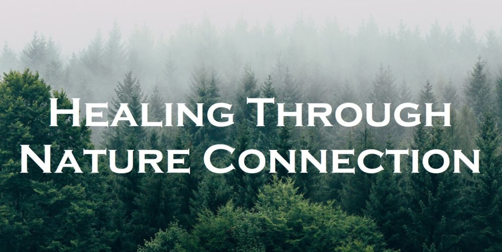 Healing Through Nature Connection Inkwood Healing Healing Through Nature Connection Inkwood Healing
